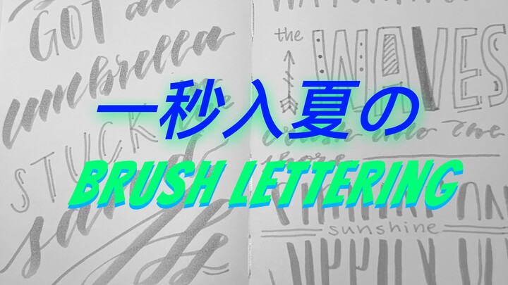 「brush lettering」带你一秒入夏 | 英语书法#5 | 加速 | 强迫症福音