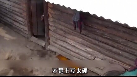 Anak orang kaya yang arogan dipindahkan ke desa sebagai siswa pertukaran, bahkan sutradara pun beran