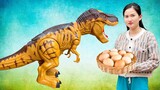 Changcady review mô hình khủng long bạo chúa đẻ trứng, phun hơi nước - Part 32