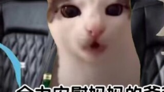 [Meme Cat] เมื่อคุณย่าของฉันซึ่งชอบผู้ชายมากกว่าผู้หญิง ได้ใช้ปู่และย่าที่เสียชีวิตของฉันเพื่อเปิดเผ