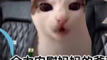 [Meme Cat] เมื่อคุณย่าของฉันซึ่งชอบผู้ชายมากกว่าผู้หญิง ได้ใช้ปู่และย่าที่เสียชีวิตของฉันเพื่อเปิดเผ