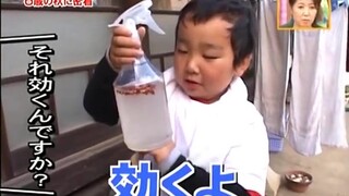 【红帽搬运】日本6岁热爱农业的小少年——第三集