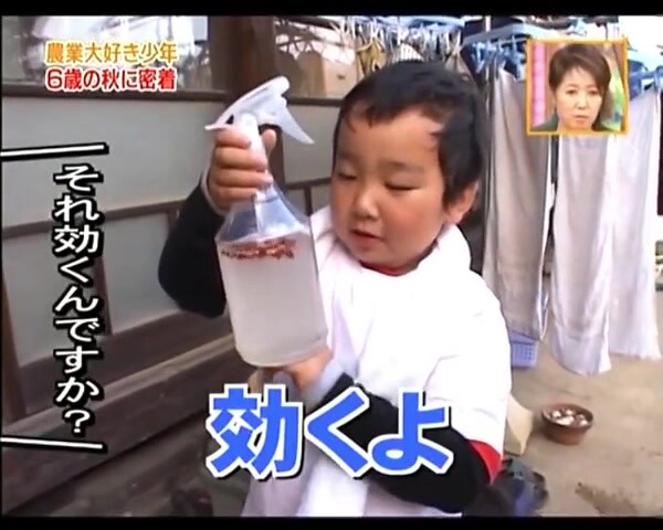 【红帽搬运】日本6岁热爱农业的小少年——第三集
