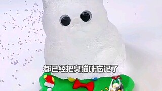 没人喜欢小猫咪了？