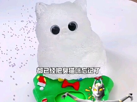 没人喜欢小猫咪了？