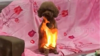 On January 24, in Xuzhou, Jiangsu, a woman was warming herself by the fire outside when she saw her 