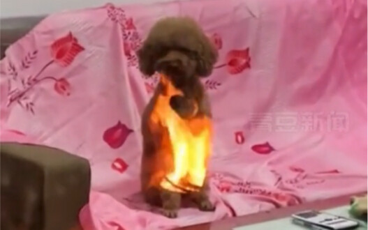 Vào ngày 24 tháng 1, tại Từ Châu, Giang Tô, một người phụ nữ đang sưởi ấm bên đống lửa ngoài trời th