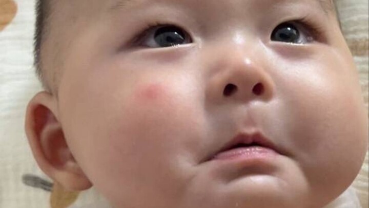 Just now, Dad spoke a bit too loudly to Mom, and the baby thought he was being mean—so upset!