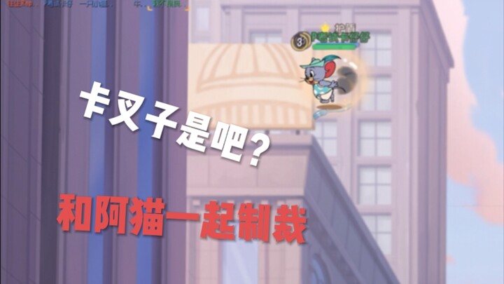 和阿猫一起收拾叉子狗