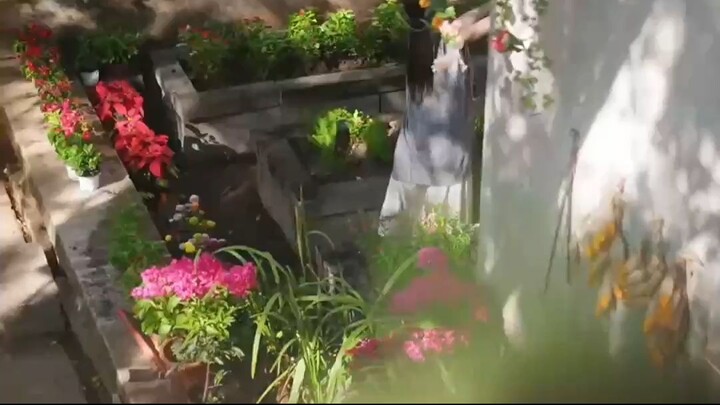 The True Heiress's Secret Identity is Awesome & The Return of the Sang Family's