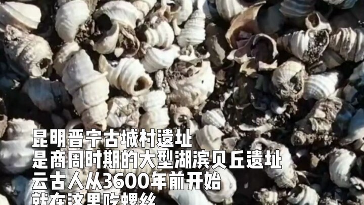 How much did ancient Yunnanese people love snails? They’ve been enjoying them here since 3,600 years