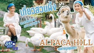 มุมถ่ายรูปห้ามพลาดที่ราชบุรี ขับรถ3ชม.เพื่อสิ่งนี้! | ALPACA HILL, TRIED OUT DJI ACTION 2 | ENG SUB