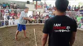 single shot