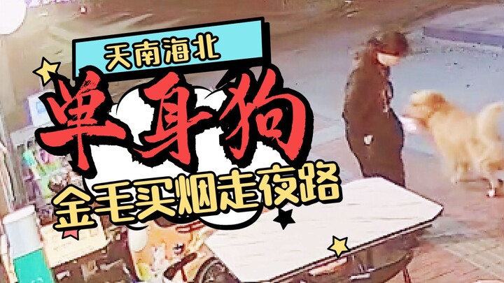 My dog was followed when he bought cigarettes. Single people should avoid walking at night.