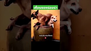 เพื่อนขอหน่อยน่า