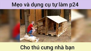 Mẹo và dụng cụ tự làm cho thú cưng p24