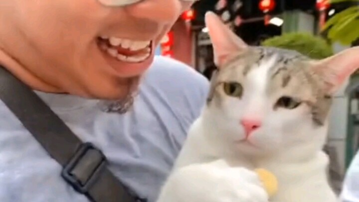 ที่แท้แมวเหมียวก็กลัวงานจริงๆ!