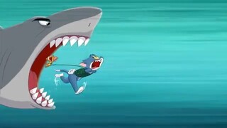 TOM VE JERRY - Renkli Kovalamaca - #YENİ Çizgi Film - @cartoonnetworkturkiye