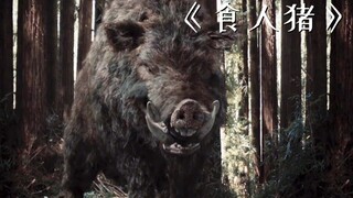 丛林出现800斤的大野猪，把活人当食物，附近村民连连遭殃！《食人猪》