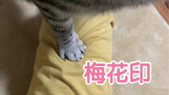 حتى من خلال سروال النوم طبعوا وردة صغيرة!