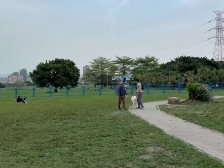 หมาไม่ใส่สายจูงยังเข้าสวนสาธารณะ ขอให้ตีมันจนตายเลย