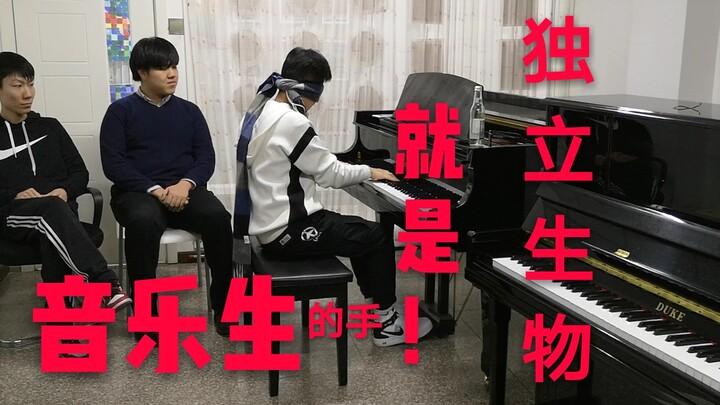 【بيانو】 أيدي طلاب الموسيقى كائنات مستقلة: عرض مباشر كبير للإغلاق التلقائي (بواسطة عملة)