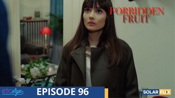 Forbidden Fruit Episode 96 | FULL EPISODE | TAGALOG DUB | Turkish Drama