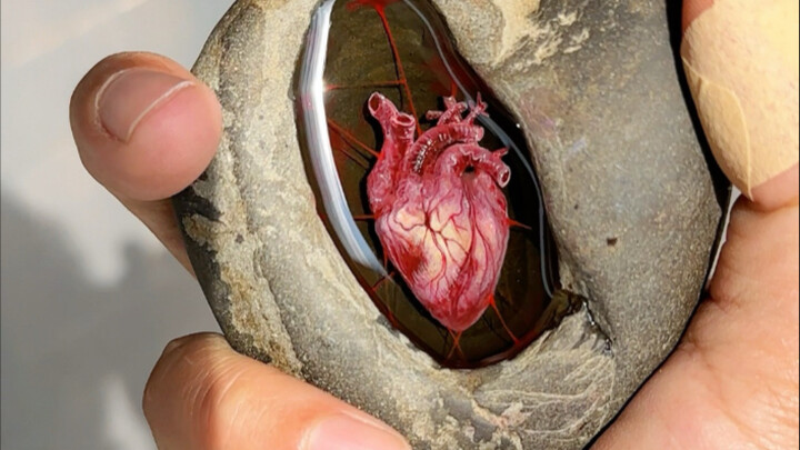 الحجارة أيضًا لها قلب