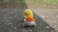 Gudetama sub Indonesia episode 10