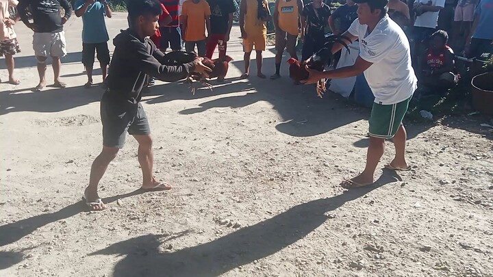 3xwiner dalusapi