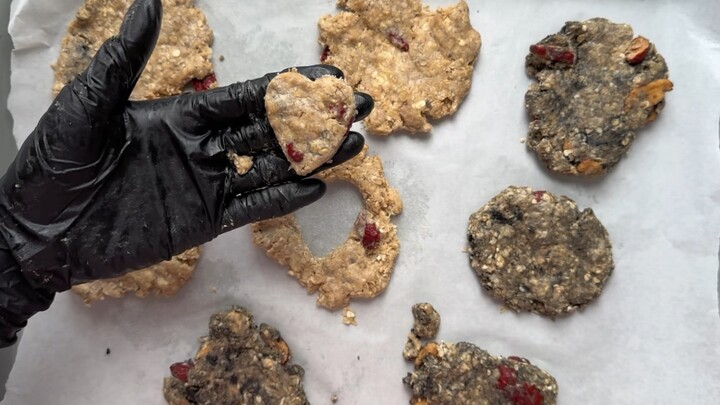 Biskuit Tempat Sampah