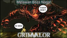 Akhirnya Sampai Di Kerajaan Valaris |Grimvalor Part 19