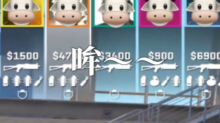 叽里咕噜说啥呢？哞～