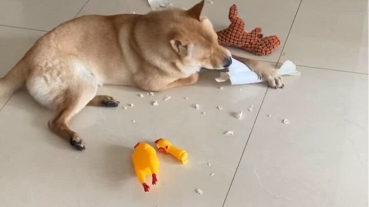 Whose dog is so wasteful?