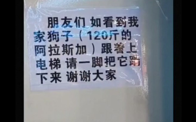 อาลา: คุณลองเตะฉันดูสิ