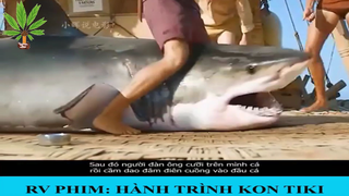 Review phim: Hành Trình Kon TiKi - Part 1#reviewphim#phimhay