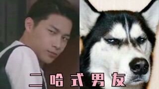 【Histotry3 那一天】有一条二哈男友是怎样的体验？