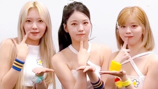 【NiziU】JYP Japanese girl group dances Park Ji-hyo and ITZY's new song dance challenge!