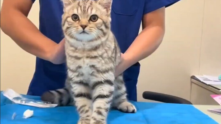 Bayi siapa nih yang begitu manis saat disuntik!