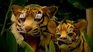 I'm dying of laughter at this goofy ad, hahahaha!