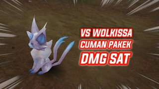 VS Wolkissa Cuman Ngandelin Damage Satelite