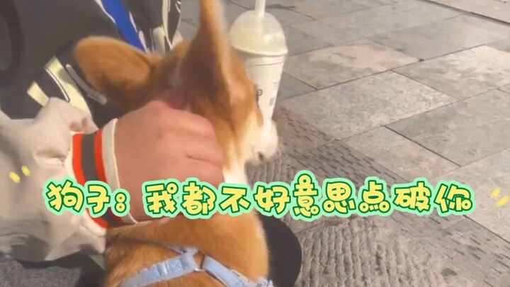Chú chó này thật hiểu chủ nhân!