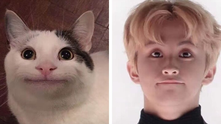 【NCT】ภาพเปรียบเทียบที่แปลกประหลาดแบบที่คุณไม่เคยเห็นมาก่อน