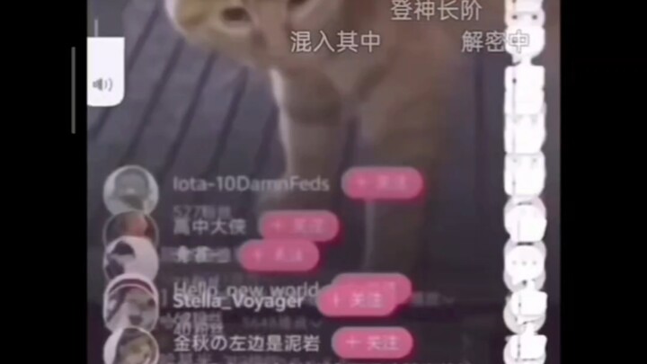 [เติมข้อมูล] [เติมข้อมูล] [เติมข้อมูล] … (ซ้ำ 20 ครั้ง)
