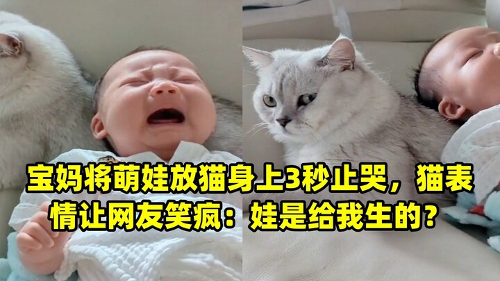 A mom places her adorable baby on a cat, and the crying stops in three seconds—leaving netizens in s
