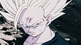 Refresh your knowledge of Dragon Ball editing