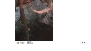 في الطفولة، فاتني شيء ممتع.