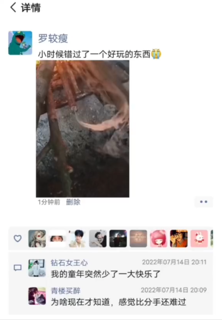 小时候错过了一个好玩的东西