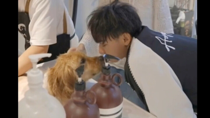 Melihat adegan Xu Yiyang dan Huang Zitao mengadopsi anjing golden retriever, saya jadi tidak bisa la