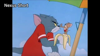 Tom & Jerry (Ep 31.3) Salt Water Tabby (phần 3) #TomandJerry